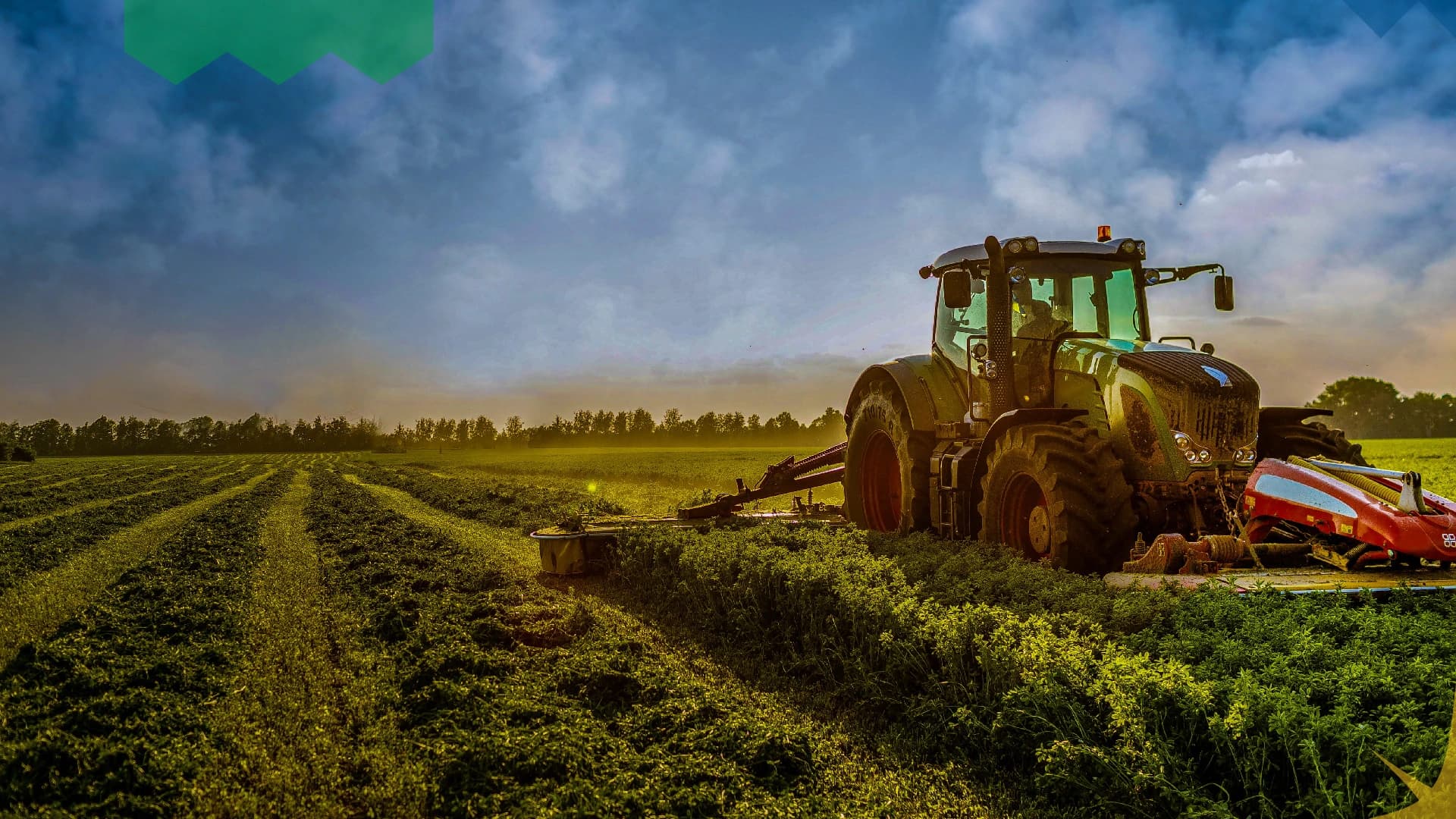 Trator verde colhendo